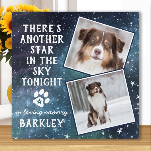 Huisdierherdenking Verlies van een huisdier Hond F Fotoplaat