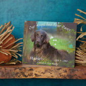 Huisdierherdenking Vier poten 1017 Fotoplaat (Zijkant)