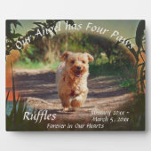 Huisdierherdenking Vier poten Zonsondergang 2009 P Fotoplaat (Voorkant)