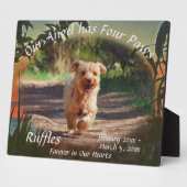 Huisdierherdenking Vier poten Zonsondergang 2009 P Fotoplaat (Zijkant)