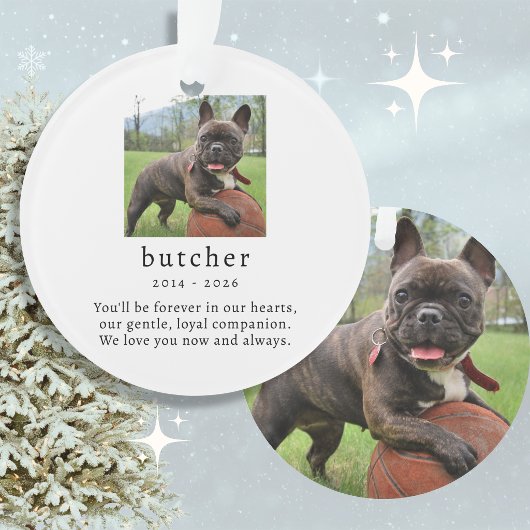Huisdierherdenkingsfoto van acryl ornament