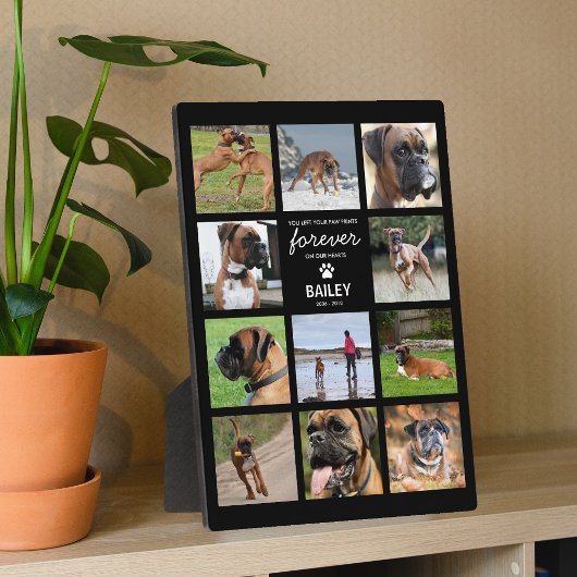 Huisdierherdenkingsgeschenk | Foto ter liefdevolle Fotoplaat