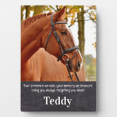 Huisdierherinnering Aandenken Aan Gepersonaliseerd Fotoplaat (voorkant)