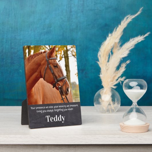 Huisdierherinnering Aandenken Aan Gepersonaliseerd Fotoplaat (Zijkant)