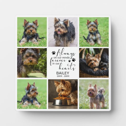 Huisdierherinnering Altijd in Onze Gedachten Foto Fotoplaat (Voorkant)