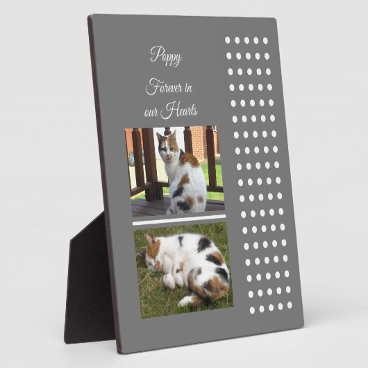 Huisdierherinnering kat grijs en wit foto's toevoe fotoplaat (Zijkant)