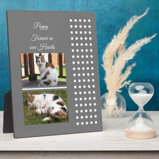 Huisdierherinnering kat grijs en wit foto's toevoe fotoplaat (Zijkant)