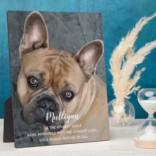 Huisdierherinneringsgeschenk - Geschenk bij verlie Fotoplaat