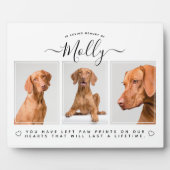 Huisdierherinneringsgeschenk - Huisdierverlies 3 F Fotoplaat (Voorkant)
