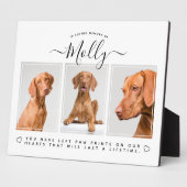 Huisdierherinneringsgeschenk - Huisdierverlies 3 F Fotoplaat (Zijkant)