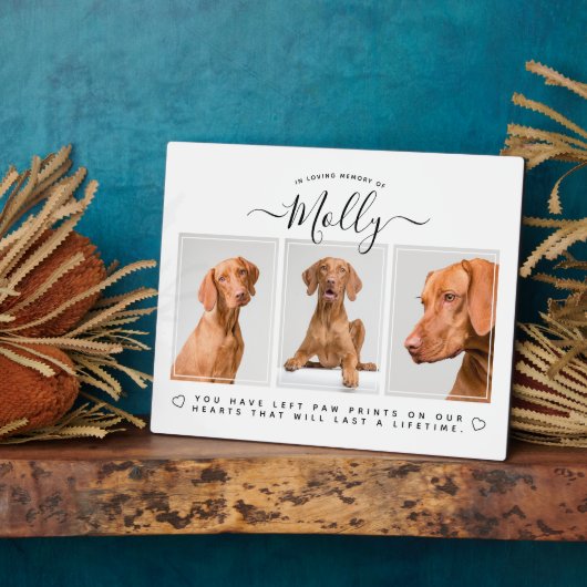 Huisdierherinneringsgeschenk - Huisdierverlies 3 F Fotoplaat (Zijkant)