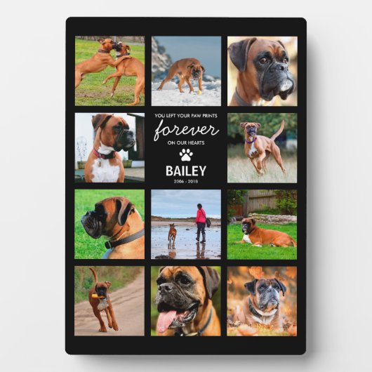 Huisdierherinneringsgeschenk | In liefdevolle heri Fotoplaat (voorkant)