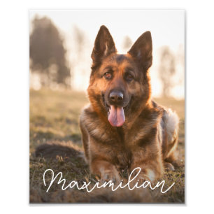 Huisdierhond Foto Portret Aangepaste Naam Afdruk