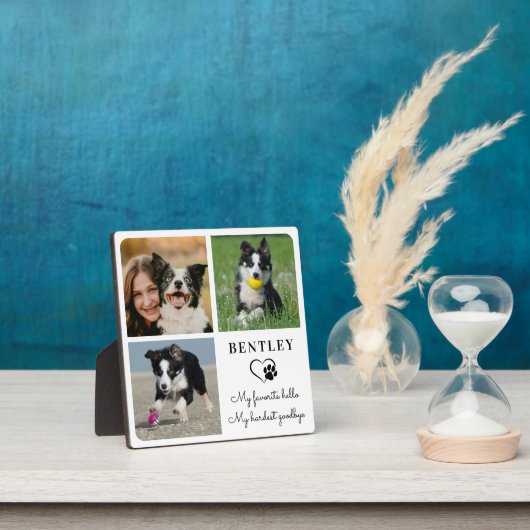 Huisdierhond Gedenkteken Modern Persoonlijk 3 Foto Fotoplaat (Insitu)