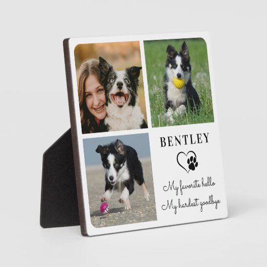 Huisdierhond Gedenkteken Modern Persoonlijk 3 Foto Fotoplaat (Voorkant)