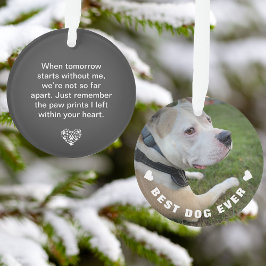 Huisdierhond Gedicht Foto Grijze Herdenkingsherinn Ornament