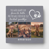 Huisdierhond Herdenking Grijs Linnen Fotocollage Fotoplaat (Voorkant)