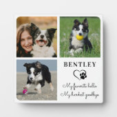 Huisdierhond Herdenking Modern Gepersonaliseerd 3  Fotoplaat (Voorkant)