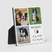 Huisdierhond Herdenking Modern Gepersonaliseerd 3  Fotoplaat (Voorkant)