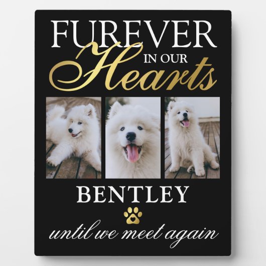 Huisdierhond Herdenkingsfoto Aandenken Fotoplaat (Voorkant)