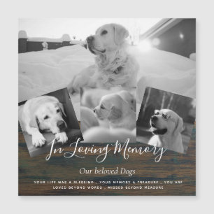 Huisdierhond Herdenkingsfoto Collage Herinneringsg