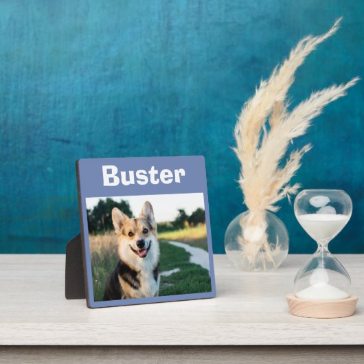 Huisdierhond Herinneringsherinnering Fotoplaat (Insitu)