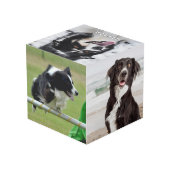Huisdierhond Multi Foto Aangepaste Weergave Kubus (Achter hoekig)