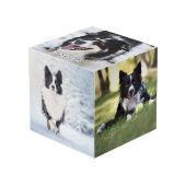 Huisdierhond Multi Foto Aangepaste Weergave Kubus (Voorkant hoekig)