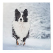Huisdierhond Multi Foto Aangepaste Weergave Kubus (Voorkant)