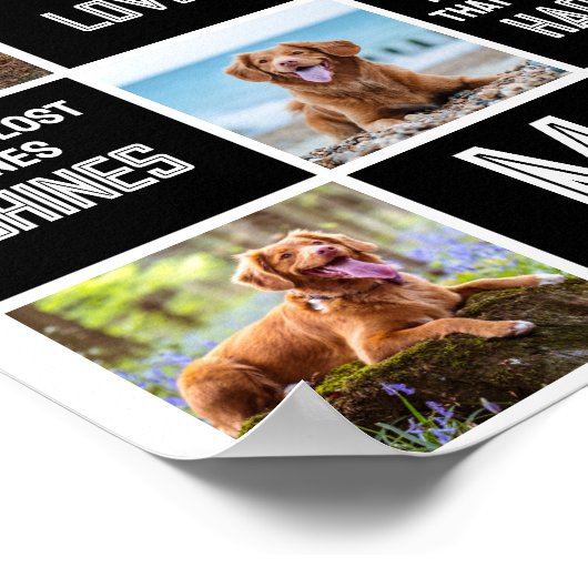 Huisdierhonden Herinneringsfotocollage Poster (Hoek)