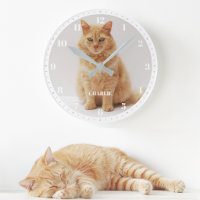 Huisdierkat Foto Aangepaste naam en nummers Wit &