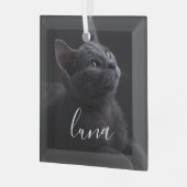 Huisdierkat Foto Naam Glas Ornament (Voorkant links)