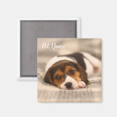 huisdiermagneet met foto en naam magneet (Voorkant / Achterkant)