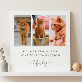 Huisdierverliescadeau voor hond en kat, 3 foto's h fotoplaat