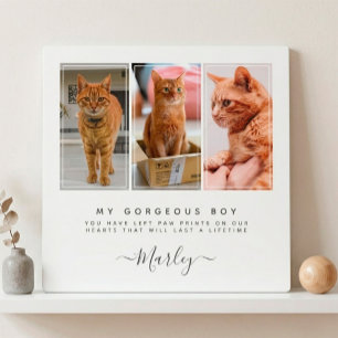 Huisdierverliescadeau voor hond en kat, 3 foto's h fotoplaat