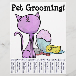 Huisdierverzorging! Kat Vlieger Flyer