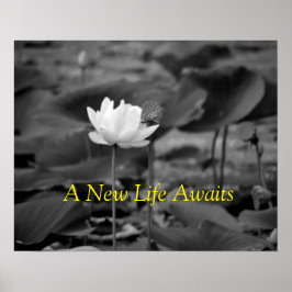 Huiselijk geweld Advocatie Posters III