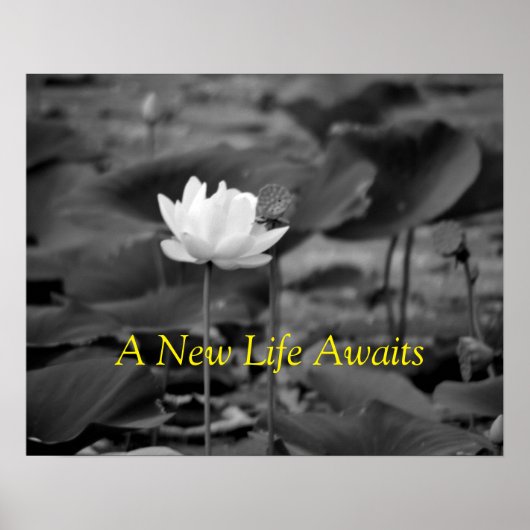 Huiselijk geweld Advocatie Posters III (Voorkant)