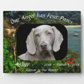 Huisengel met vier poten 0828 fotoplaat (Voorkant)