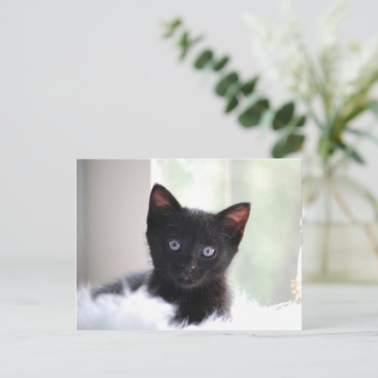 Huishoudelijke afdeling 17 briefkaart (Staand voorkant)