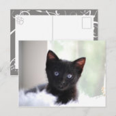 Huishoudelijke afdeling 17 briefkaart (Voorkant / Achterkant)