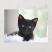 Huishoudelijke afdeling 17 briefkaart (Voorkant)