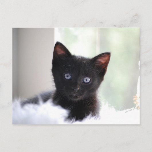 Huishoudelijke afdeling 17 briefkaart (Voorkant)