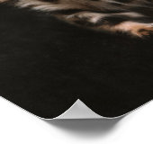 Huishoudelijke kat Kitten Leopard Spots Poster (Hoek)