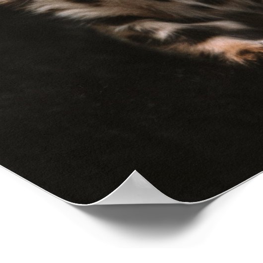 Huishoudelijke kat Kitten Leopard Spots Poster (Hoek)