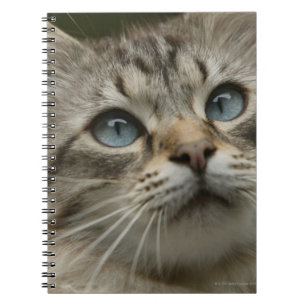 Huishoudelijke kat notitieboek