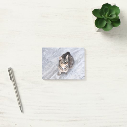 Huishoudelijke kat post-it® notes (Kantoor)