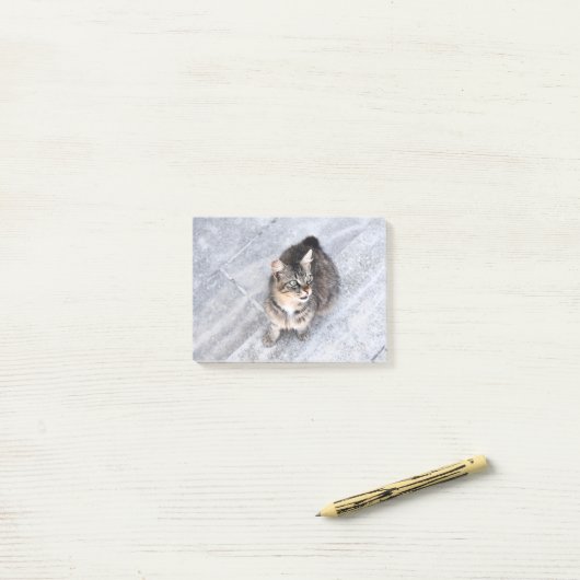 Huishoudelijke kat post-it® notes (Op bureau)