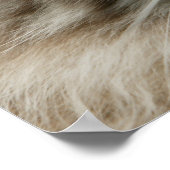 Huishoudelijke kat poster (Hoek)