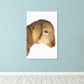 Huishoudelijke lammeren canvas afdruk (Insitu (Houten vloer))